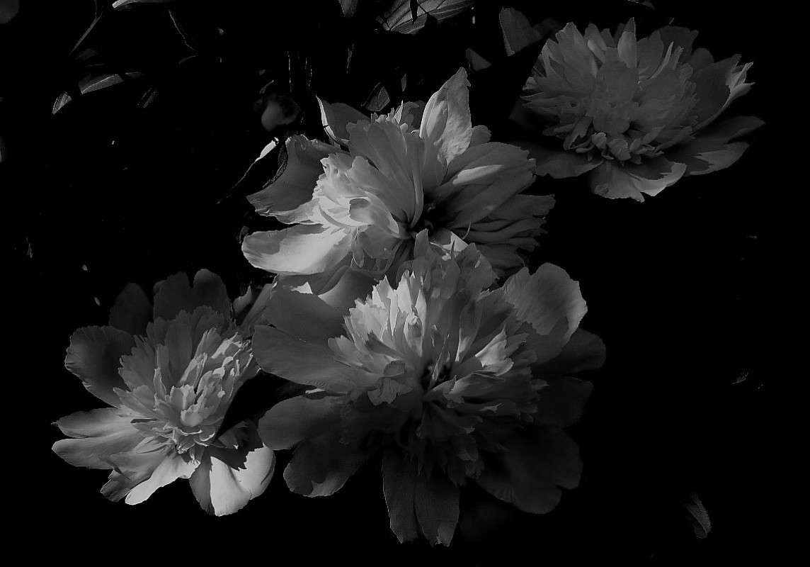 ���� � ���� 4 ����� Natali  ��������� �� PhotoGeek.ru #������ ��� ������� #����� ��������������