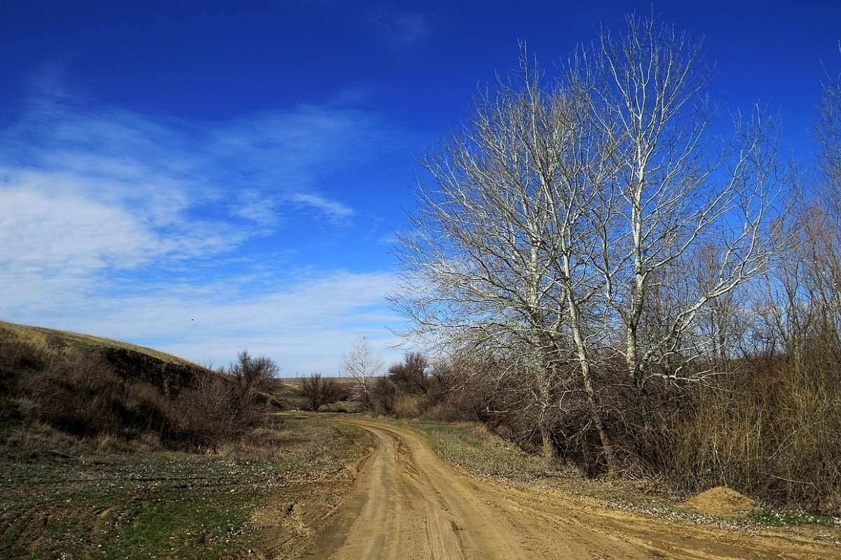 ��������� �����. ������. ����� Natali  ��������� �� PhotoGeek.ru #������ ��� �������