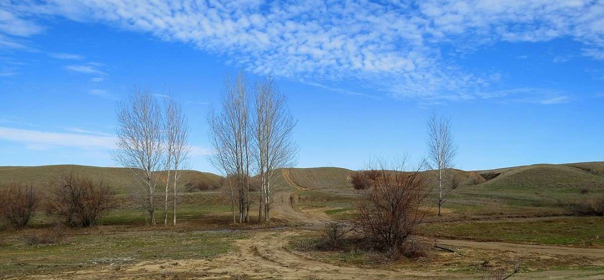 ��������� �����. ������ 2 ����� Natali  ��������� �� PhotoGeek.ru #������ ��� �������