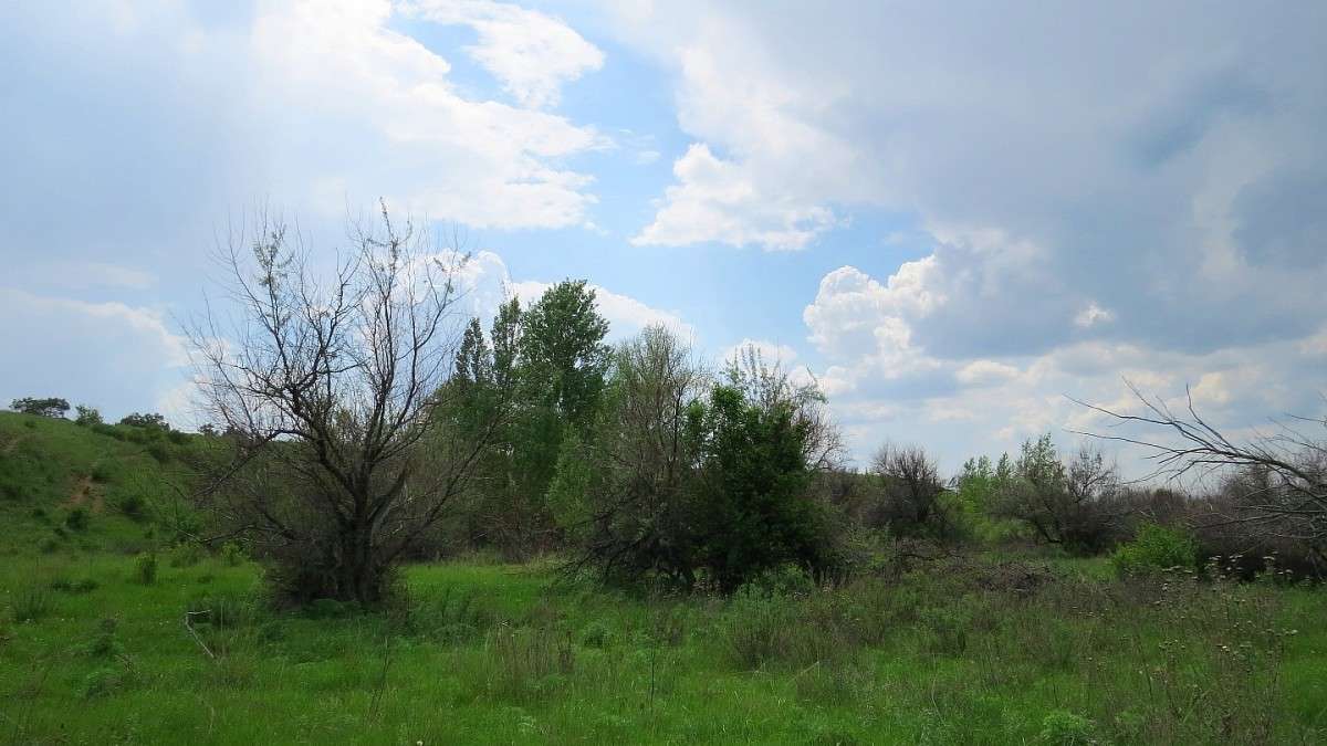 ��������� �����. ������ ���. ����� Natali  ��������� �� PhotoGeek.ru #������ ��� �������