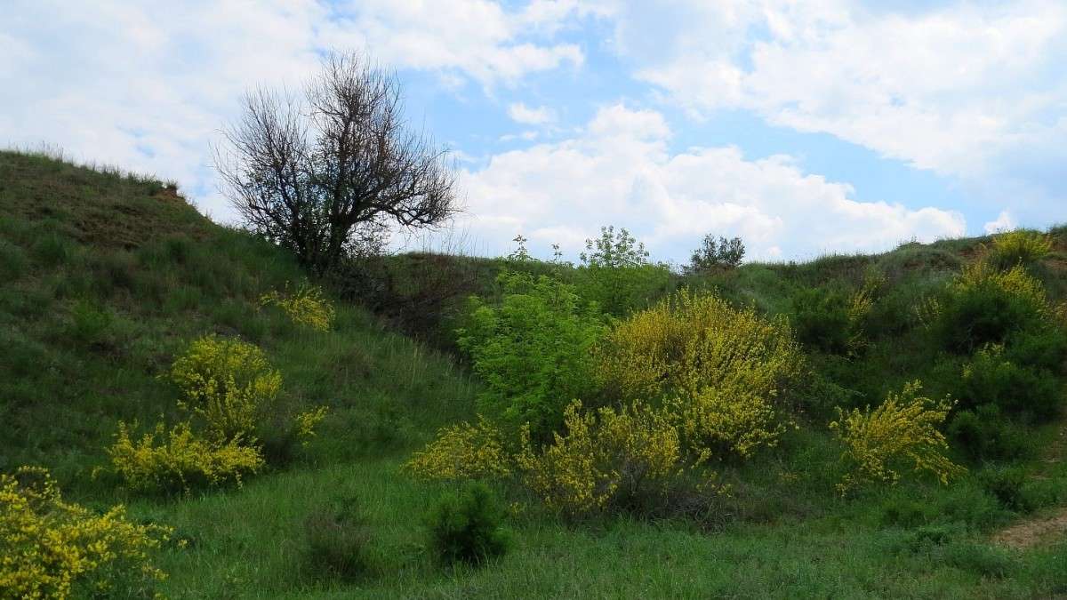 ��������� �����. ������ ��� 2. ����� Natali  ��������� �� PhotoGeek.ru #������ ��� �������