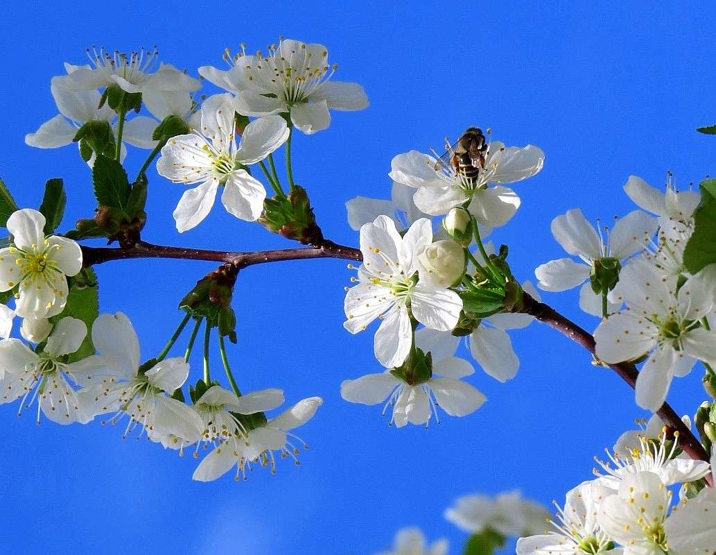 ����� ����� Natali  ��������� �� PhotoGeek.ru #����� ��������������