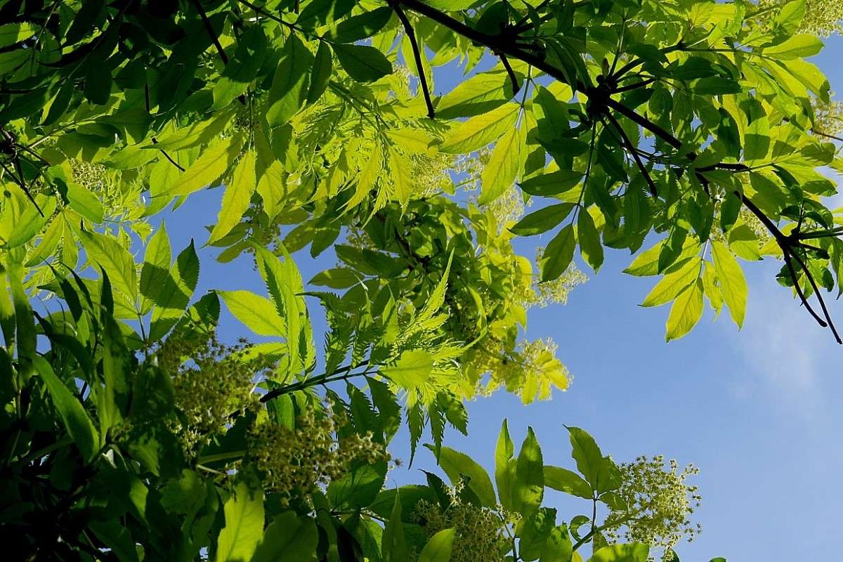 ����� 2 ����� Natali  ��������� �� PhotoGeek.ru #������ ��� ������� #����� ��������������