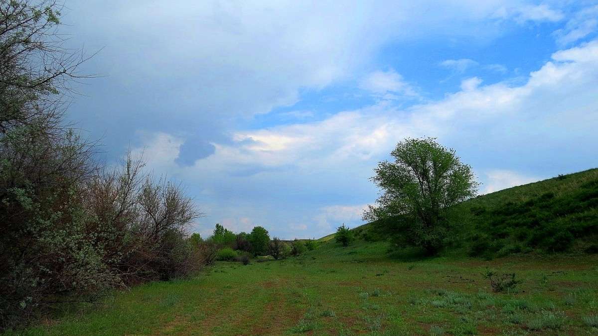 ����� 3 ����� Natali  ��������� �� PhotoGeek.ru #������ ��� ������� #����� ��������������