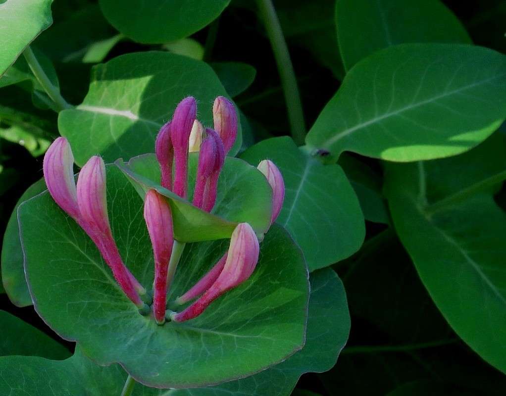 ��� ����� ��� ������ .... ))) ����� Natali  ��������� �� PhotoGeek.ru #������ ��� ������� #����� ��������������