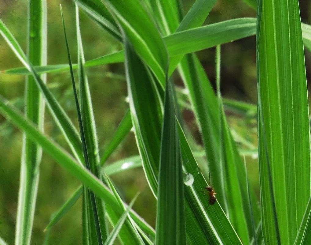 ��� ������ �� ������� ... ) ����� Natali  ��������� �� PhotoGeek.ru #������ ��� ������� #����� ��������������