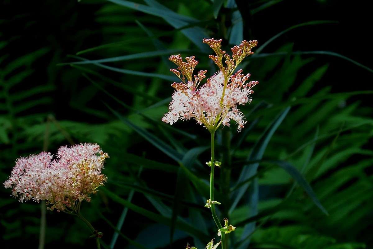 ������� ��������� ))) ����� Natali  ��������� �� PhotoGeek.ru #������ ��� ������� #����� ��������������