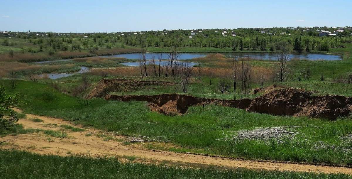 �� ����������� )))) ����� Natali  ��������� �� PhotoGeek.ru #������ ��� ������� #����� ��������������