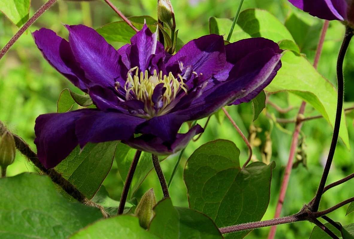 ... ����� Natali  ��������� �� PhotoGeek.ru #������ ��� ������� #����� ��������������