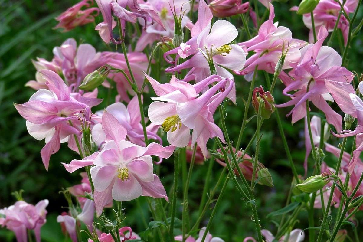 ... ����� Natali  ��������� �� PhotoGeek.ru #������ ��� ������� #����� ��������������