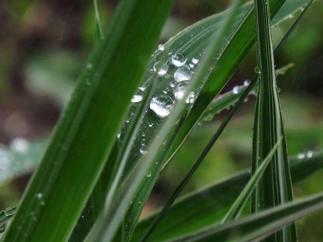 ... ����� Natali  ��������� �� PhotoGeek.ru #������ ��� ������� #����� ��������������