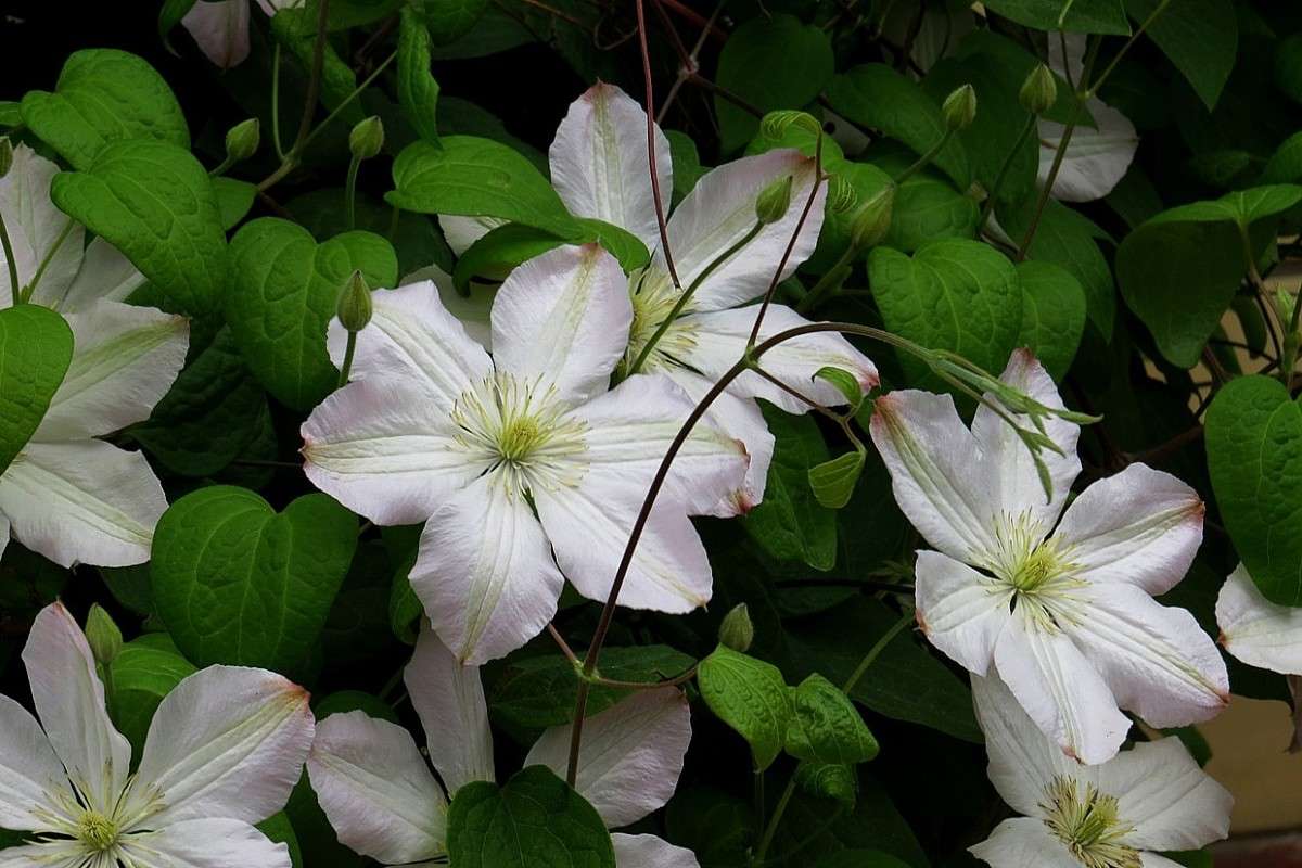 ... ����� Natali  ��������� �� PhotoGeek.ru #������ ��� ������� #����� ��������������