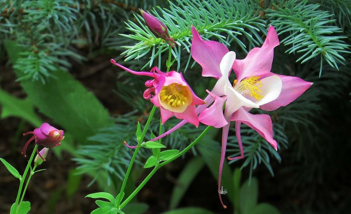 ... ����� Natali  ��������� �� PhotoGeek.ru #������ ��� ������� #����� ��������������