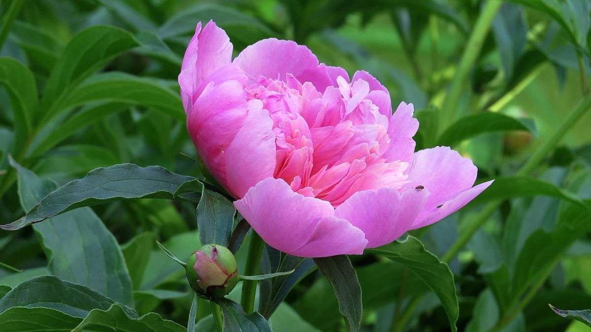 ... ����� Natali  ��������� �� PhotoGeek.ru #������ ��� ������� #����� ��������������