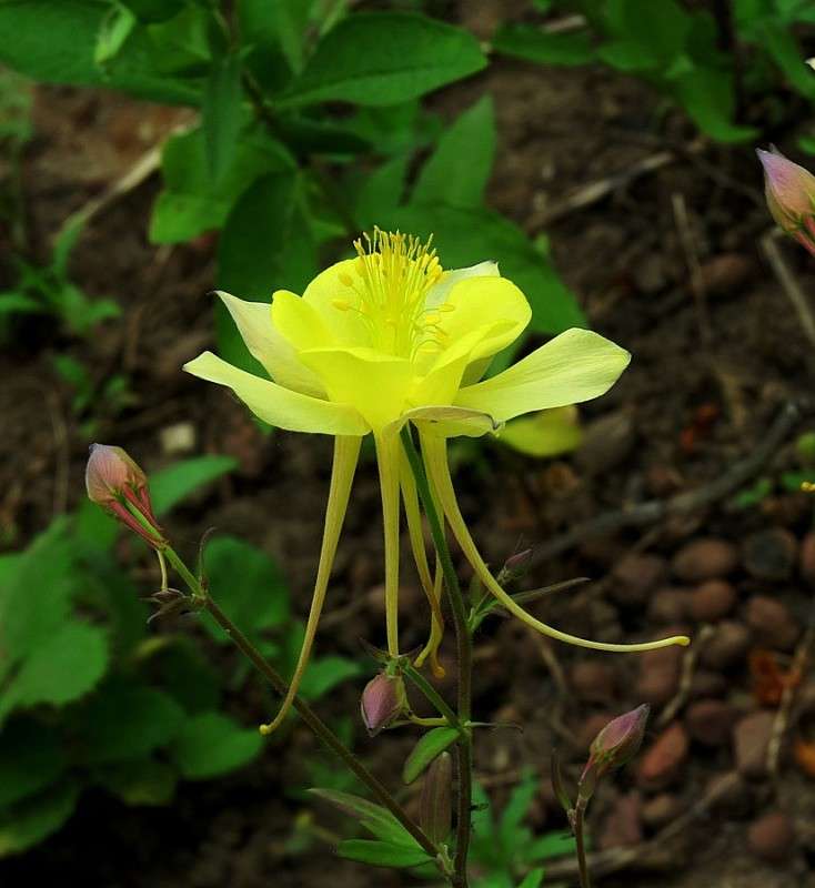 ... ����� Natali  ��������� �� PhotoGeek.ru #������ ��� ������� #����� ��������������