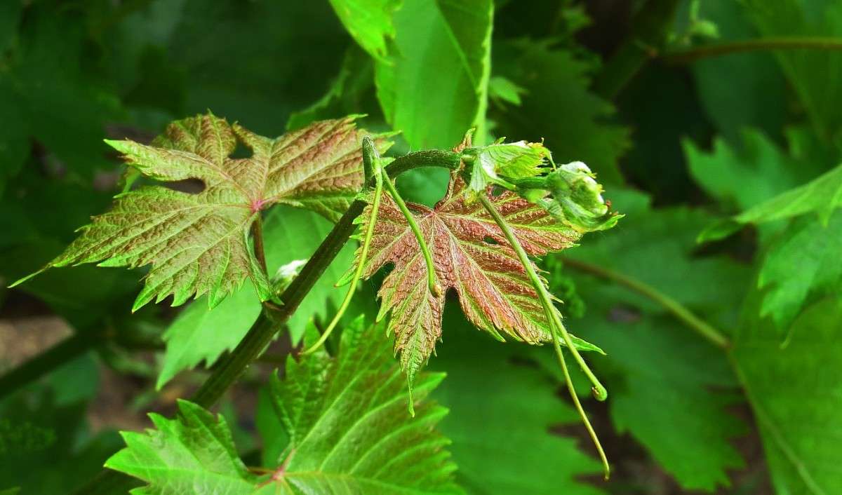 �� �� �����, �� �� ����� ..... ))) ����� Natali  ��������� �� PhotoGeek.ru #������ ��� ������� #����� ��������������