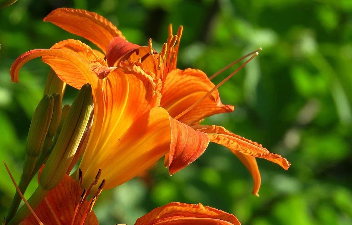 ��� ��� ��� �������� ����� Natali  ��������� �� PhotoGeek.ru #������ ��� ������� #����� ��������������