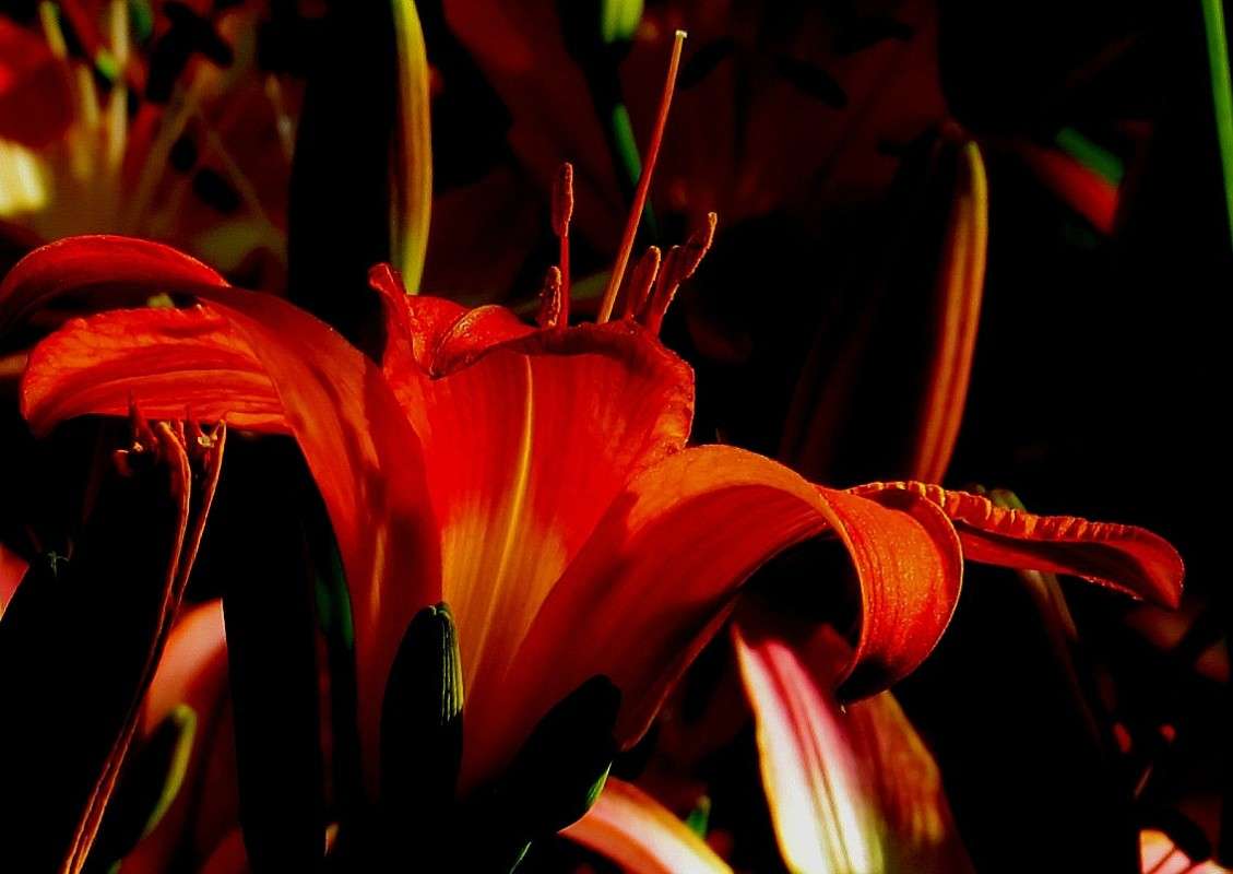 ��� ��� ��� �������� 3 ����� Natali  ��������� �� PhotoGeek.ru #������ ��� ������� #����� ��������������