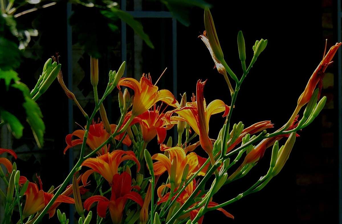 ��� ��� ��� �������� 2 ����� Natali  ��������� �� PhotoGeek.ru #������ ��� ������� #����� ��������������