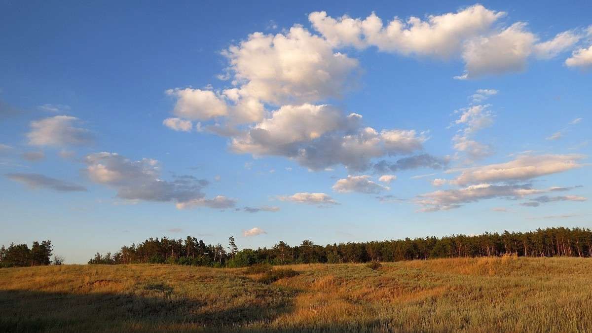 �� ����� ������� ... ) ����� Natali  ��������� �� PhotoGeek.ru #������ ��� ������� #����� ��������������