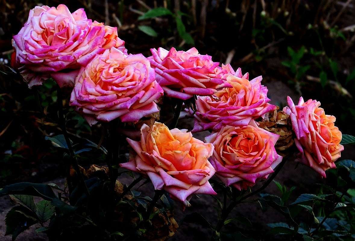 ������� ��������� ) ����� Natali  ��������� �� PhotoGeek.ru #������ ��� ������� #����� ��������������