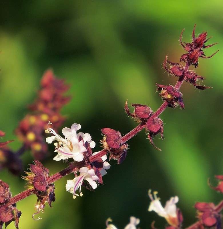 �  �������� ��� ��� .... ) ����� Natali  ��������� �� PhotoGeek.ru #������ ��� ������� #����� ��������������