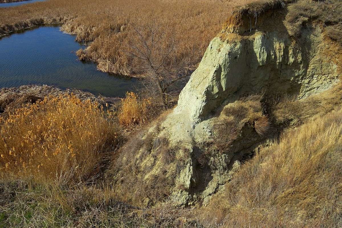 �������� �������, ������ ������ ... ) ����� Natali  ��������� �� PhotoGeek.ru #������ ��� �������