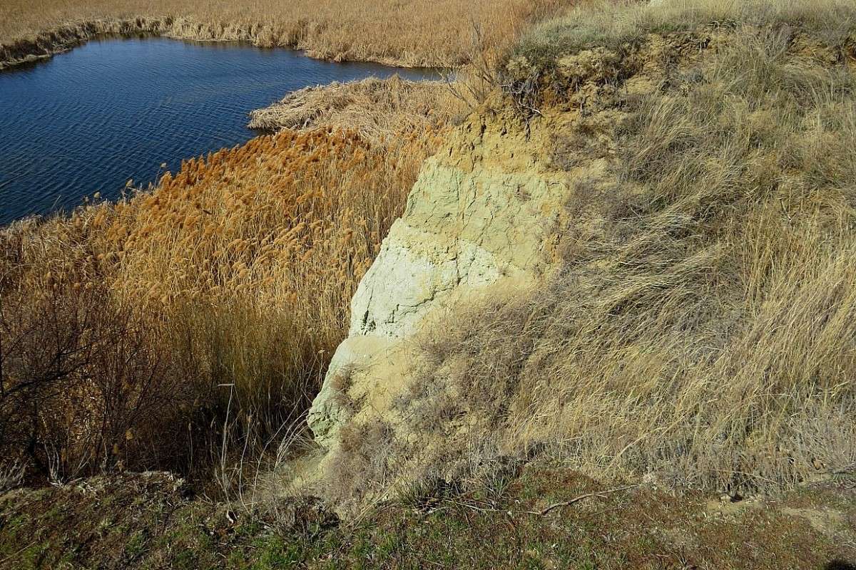 �������� �������, ������ ������ ... 2  ...  ��� ������� ... ))) ����� Natali  ��������� �� PhotoGeek.ru #������ ��� �������