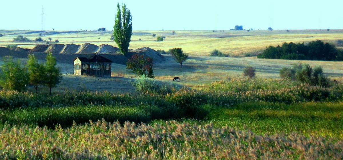 �����. ����� � ������� ... ) ����� Natali  ��������� �� PhotoGeek.ru #������ ��� �������