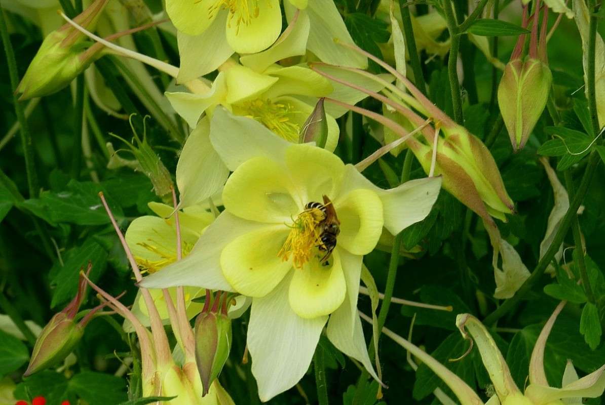 � �������� ��������� ... ) ����� Natali  ��������� �� PhotoGeek.ru #����� ��������������