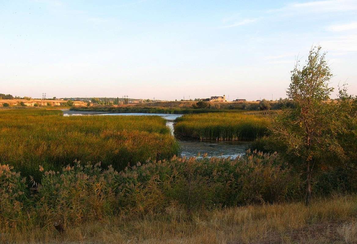 ����� � �������� ����� ... 4 ����� Natali  ��������� �� PhotoGeek.ru #������ ��� �������