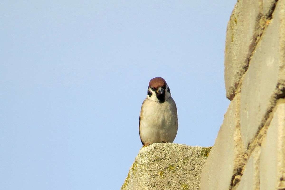 ������ ����, �� ���� ����� ... ) ����� Natali  ��������� �� PhotoGeek.ru #�������� ��� #����� ��� ��� ���������