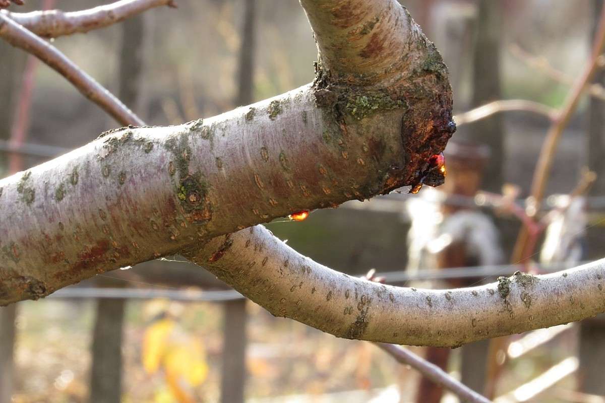 �� �� ���� .... ) ����� Natali  ��������� �� PhotoGeek.ru #������ ��� ������� #����� ��������������