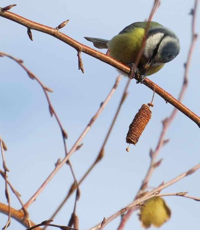 ��� �������  � ����� ... ) ����� Natali  ��������� �� PhotoGeek.ru #�������� ��� #����� ��� ��� ���������