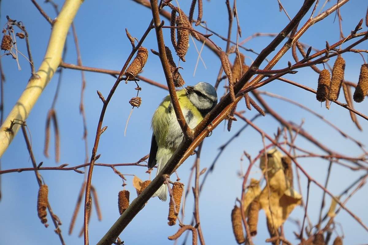 ��� ������� � ����� 2 ... ) ����� Natali  ��������� �� PhotoGeek.ru #�������� ��� #����� ��� ��� ���������