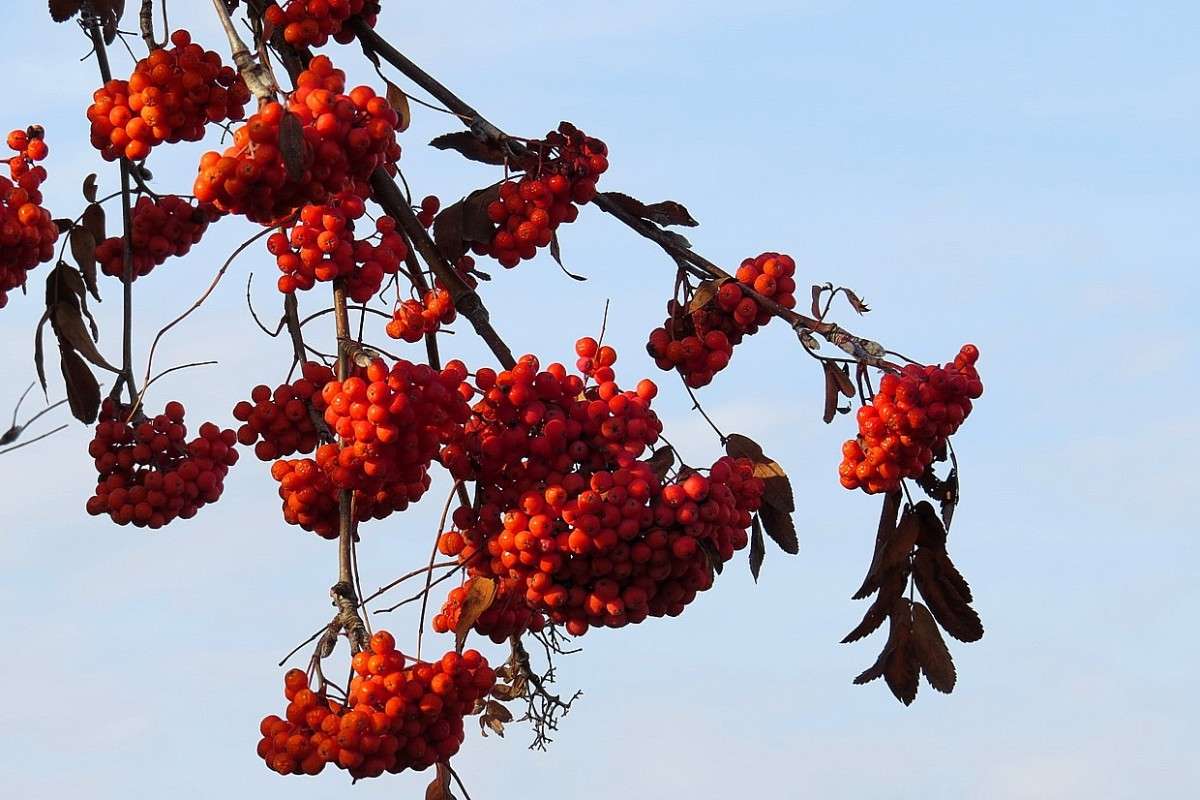 ... ����� Natali  ��������� �� PhotoGeek.ru #������ ��� ������� #����� ��������������