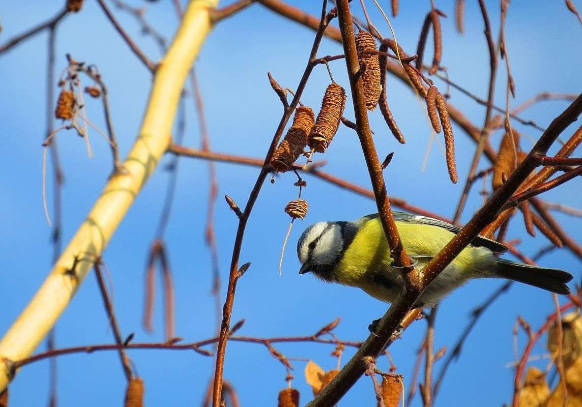 ��� ������� � ����� 3 ����� Natali  ��������� �� PhotoGeek.ru #�������� ��� #����� ��� ��� ���������