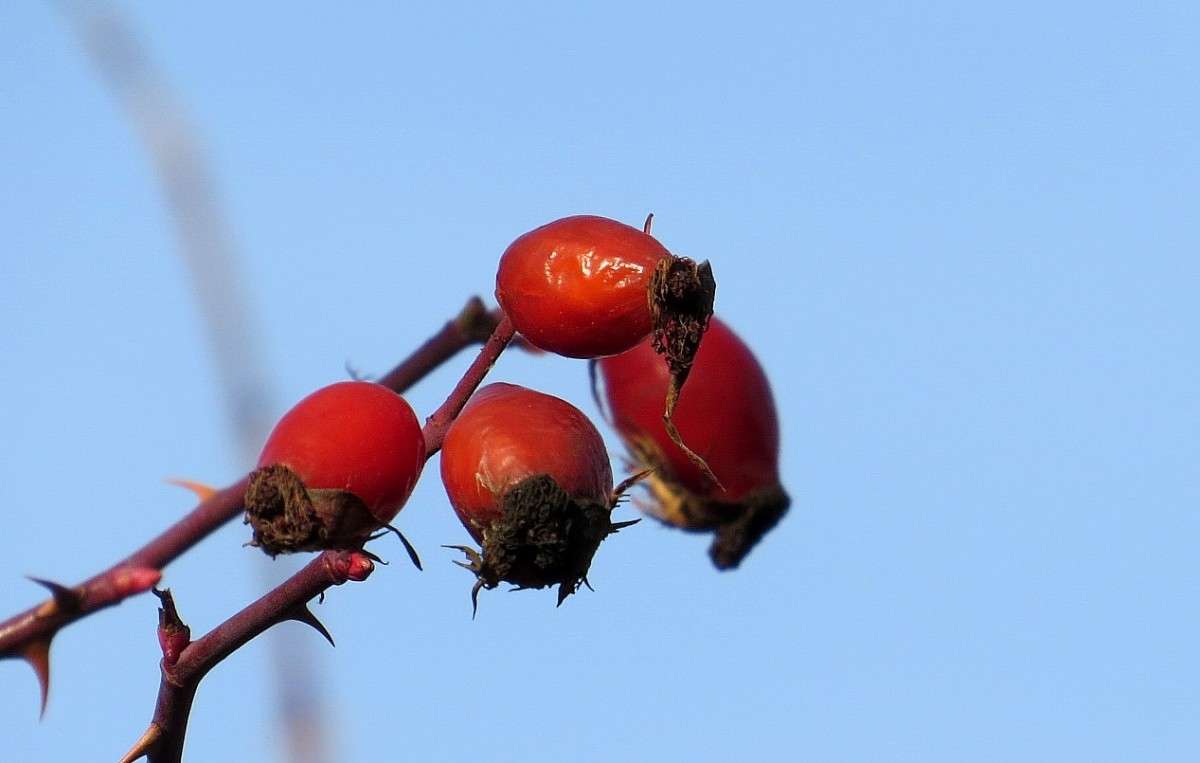 ������� �������  .... ) ����� Natali  ��������� �� PhotoGeek.ru #������ ��� ������� #����� ��������������