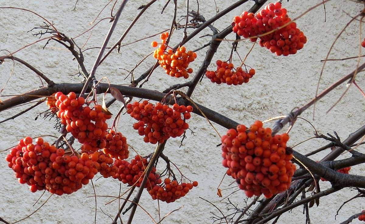 ������� �������  2 .... ) ����� Natali  ��������� �� PhotoGeek.ru #������ ��� ������� #����� ��������������