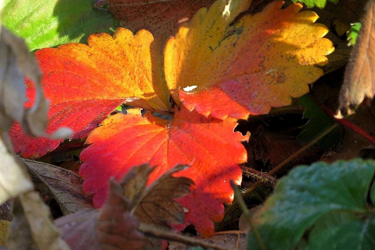 ������� ������� 3  .... ) ����� Natali  ��������� �� PhotoGeek.ru #������ ��� ������� #����� ��������������