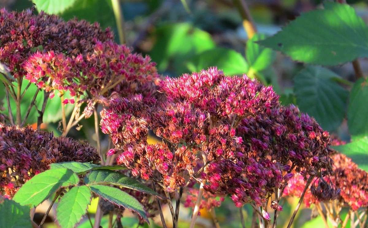 ������� �������  4 .... ) ����� Natali  ��������� �� PhotoGeek.ru #������ ��� ������� #����� ��������������