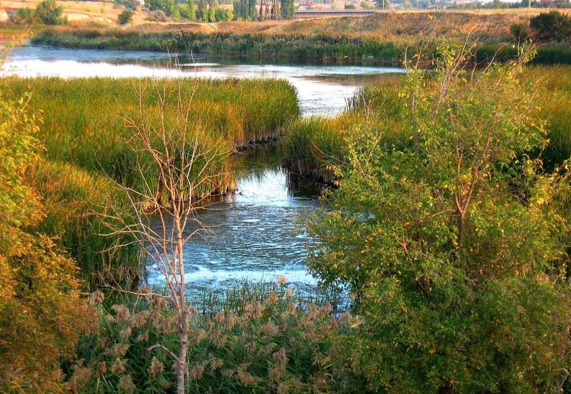 ������ ���������� ) ����� Natali  ��������� �� PhotoGeek.ru #����� ��������������