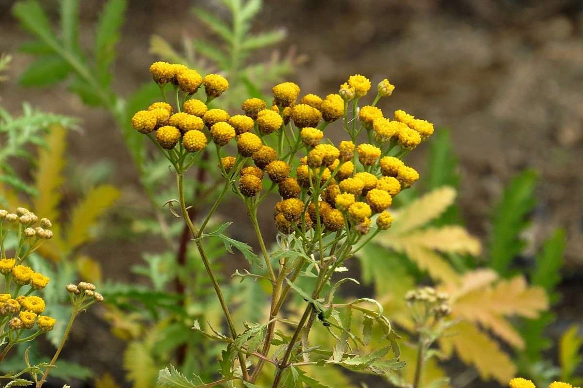 ������ ������� ����� Natali  ��������� �� PhotoGeek.ru #������ ��� ������� #����� ��������������