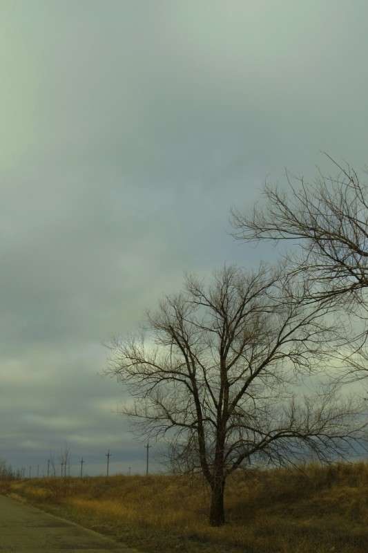 ������ ���� ... ) ����� Natali  ��������� �� PhotoGeek.ru #������ ��� �������