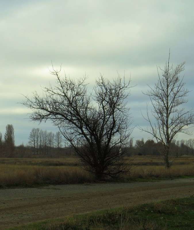 ������ ���� 2 ... ) ����� Natali  ��������� �� PhotoGeek.ru #������ ��� �������