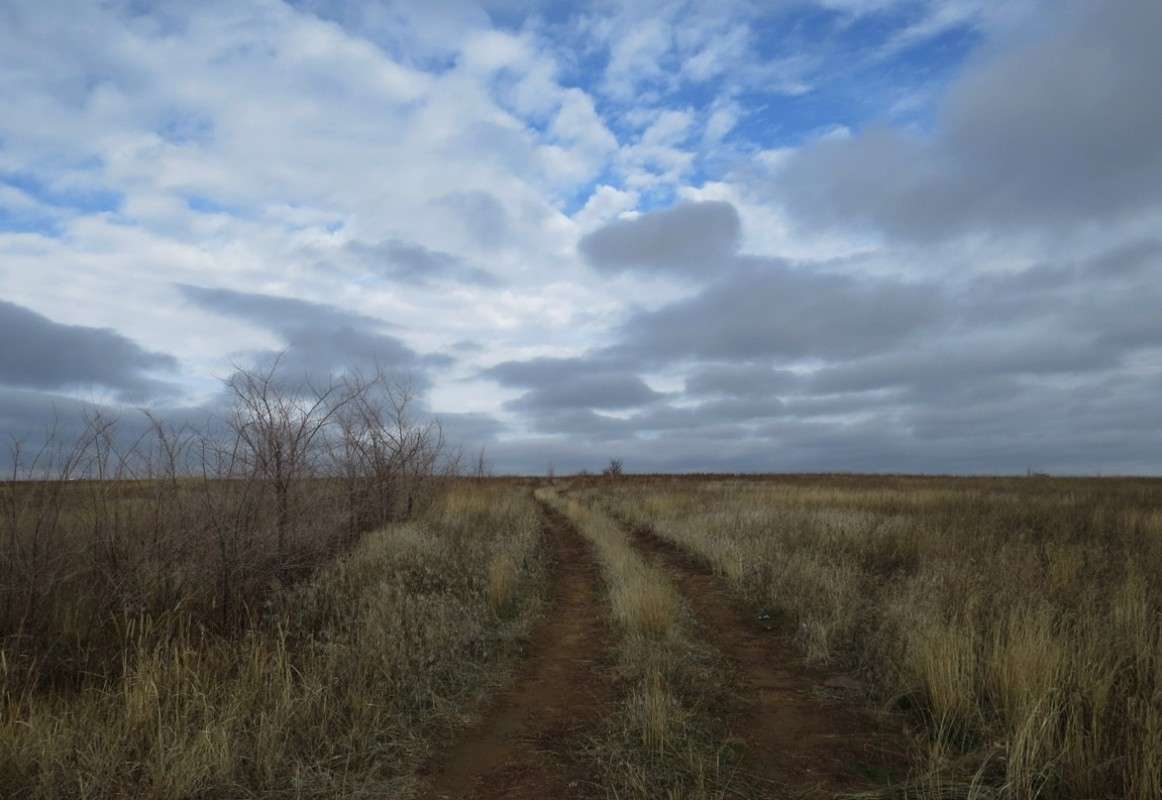 ����� ������� ... ����� Natali  ��������� �� PhotoGeek.ru #������ ��� �������