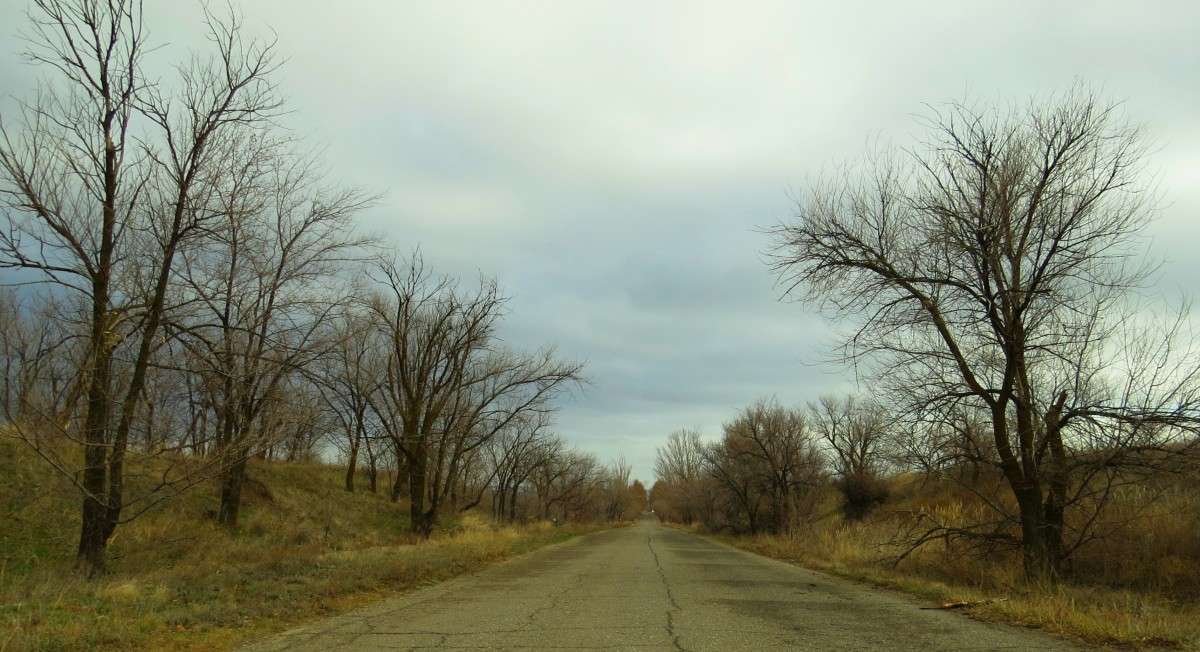 ������ ���� 3 ����� Natali  ��������� �� PhotoGeek.ru #������ ��� �������