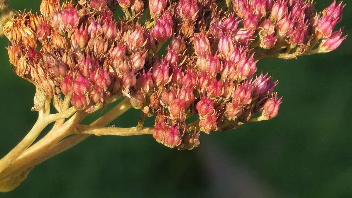 � � ����� �� ���������� ))) ����� Natali  ��������� �� PhotoGeek.ru #����� #����� ��������������