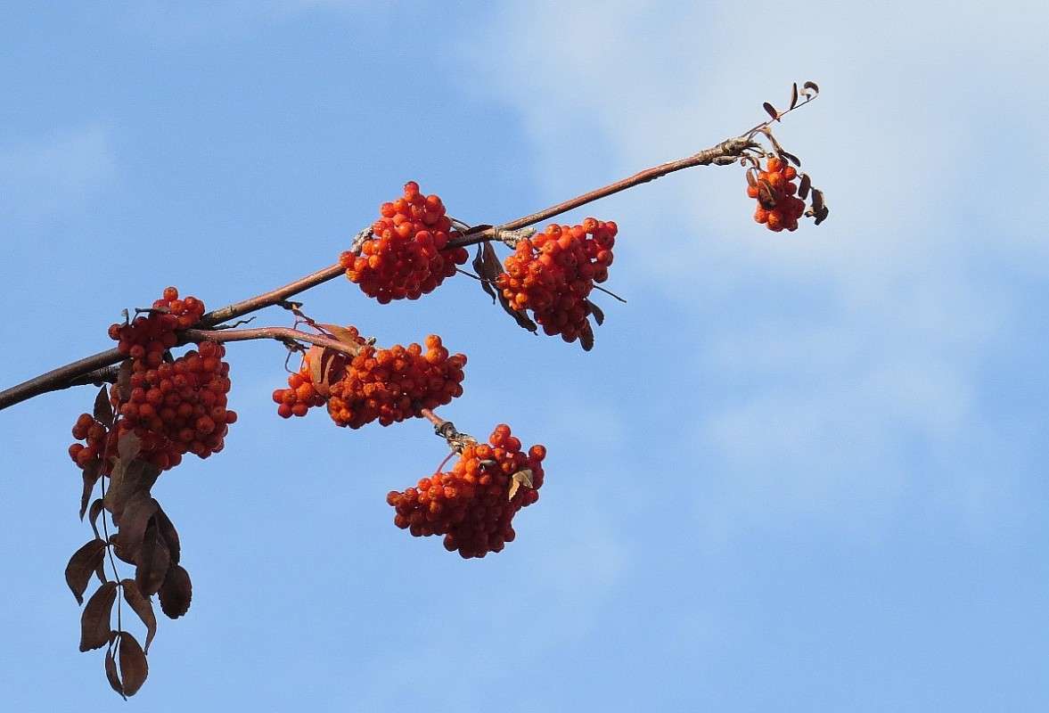 ... ����� Natali  ��������� �� PhotoGeek.ru #����� ��������������