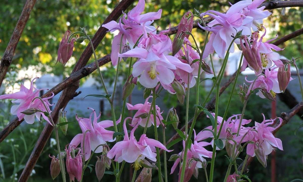 � ������ ������ ����� ! )))) ����� Natali  ��������� �� PhotoGeek.ru #����� ��������������